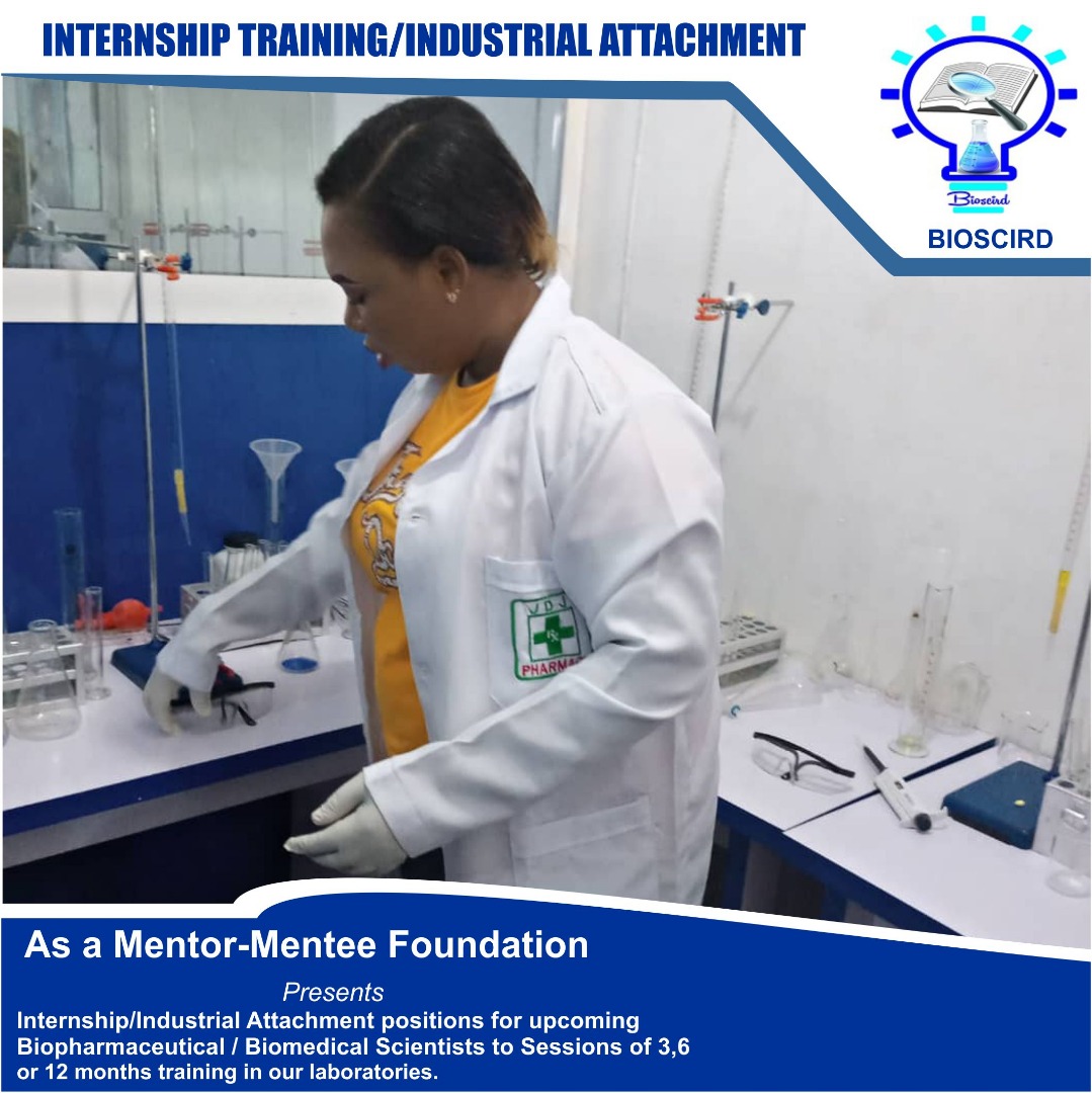 Internship Training Program